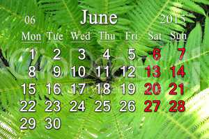 calendar for the June of 2015 on the background of fern