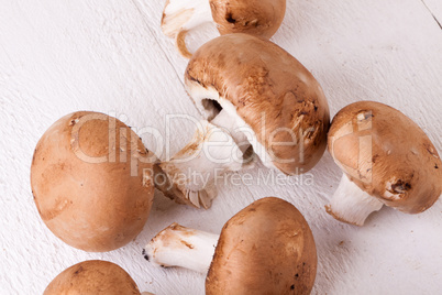 Fresh brown portobello or agaricus mushrooms