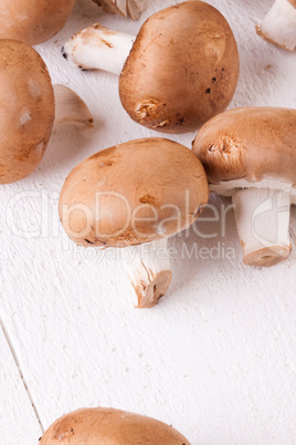 Fresh brown portobello or agaricus mushrooms