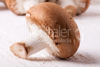 Fresh brown portobello or agaricus mushrooms