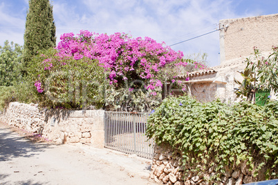 mediterranean brick entrance garden with pink flowers