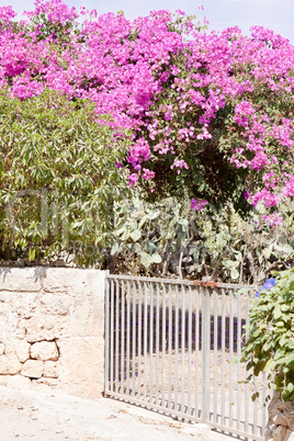 mediterranean brick entrance garden with pink flowers