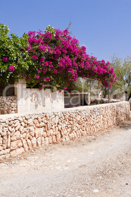 mediterranean brick entrance garden with pink flowers
