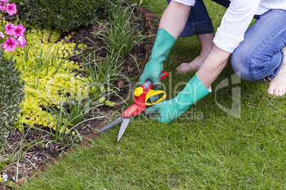 Close Up of Hands Trimming Grass with Clippers