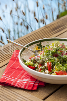 Bowl of Marinated Greek Salad with Red Napkin