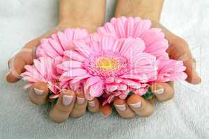 feminin hands with a treatment doing a manicure closeup