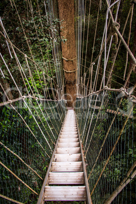 Narrow cable suspension footbridge