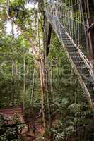 Narrow cable suspension footbridge