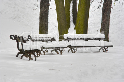 snow abandoned benches