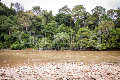 Stony river bed in a lush green jungle