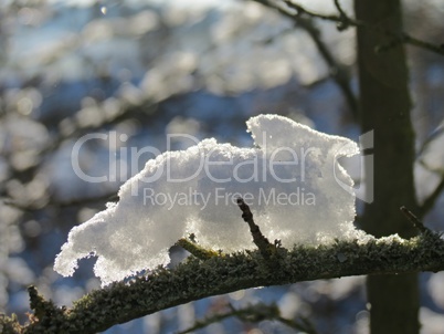 Schneehaube