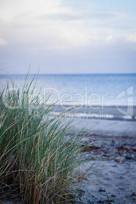 beautiful landscape dunes baltic sea in autumn winter