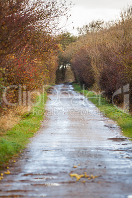 landscape and street in autumn spring outdoor