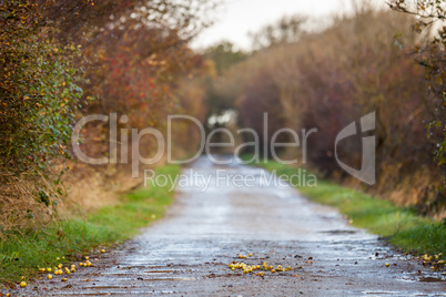 landscape and street in autumn spring outdoor