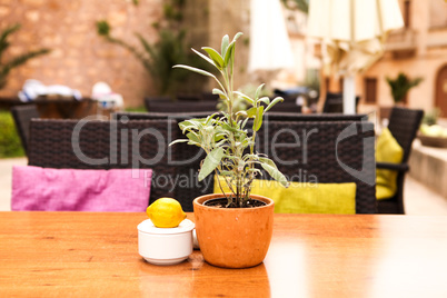 table flower decoration in cafe restaurant outdoor in summer