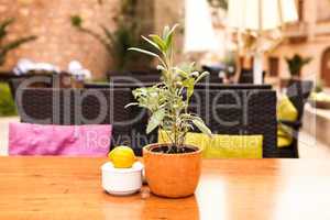 table flower decoration in cafe restaurant outdoor in summer