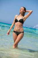attractive woman in black bikini on the beach summertime