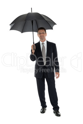 mature attractive business man with umbrella isolated