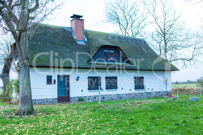 Residential house with a green mossy thatch roof