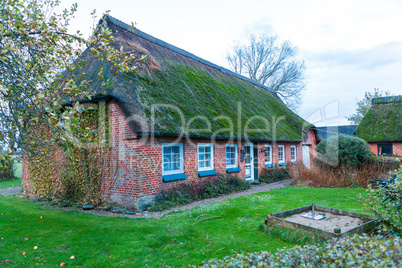 Residential house with a green mossy thatch roof