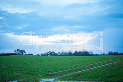 beautiful landscape of green farmland and blue sky