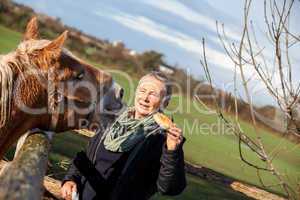 Elderly couple petting a horse in a paddock