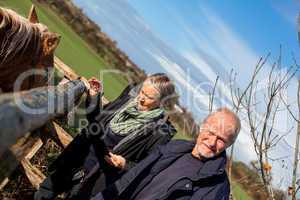 Elderly couple petting a horse in a paddock