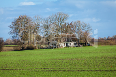 beautiful landscape of green farmland and blue sky