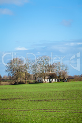 beautiful landscape of green farmland and blue sky