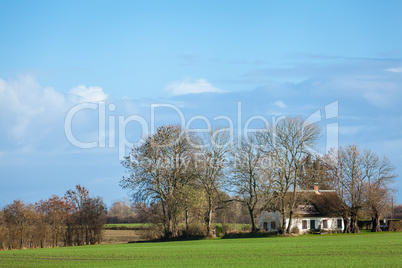 beautiful landscape of green farmland and blue sky