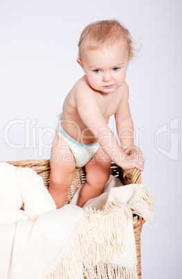 cute little baby infant in basket with teddy