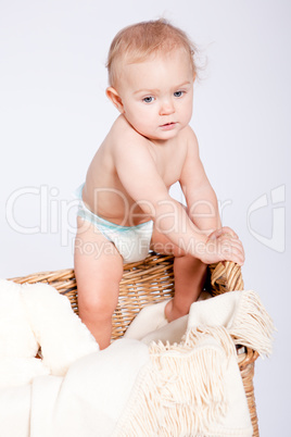 cute little baby infant in basket with teddy