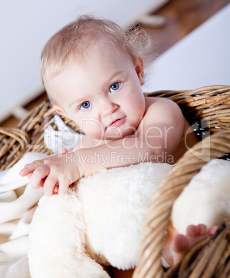 cute little baby infant in basket with teddy