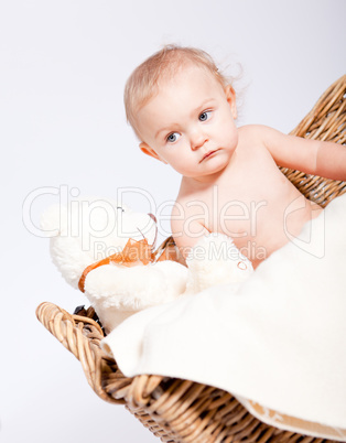 cute little baby infant in basket with teddy