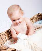 cute little baby infant in basket with teddy