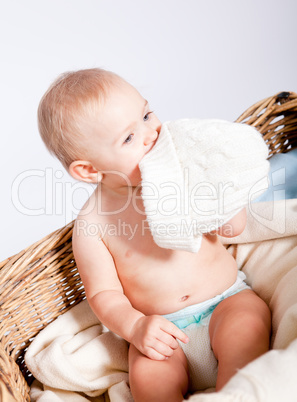 cute little baby infant in basket with teddy