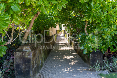Quiet village lane with lush vegetation in Bali