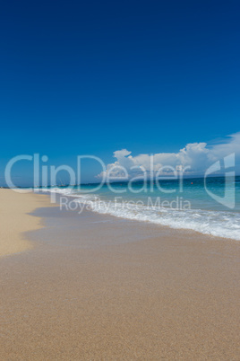 Beautiful tropical beach with lush vegetation