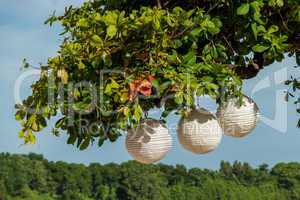 Three paper lanterns hanging form a tree