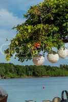 Three paper lanterns hanging form a tree