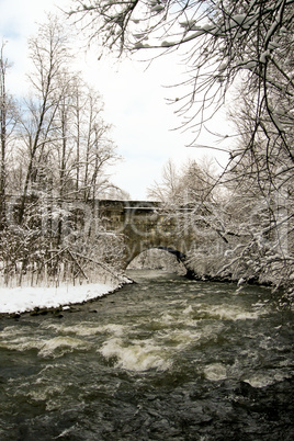 forest and field  winter landscape