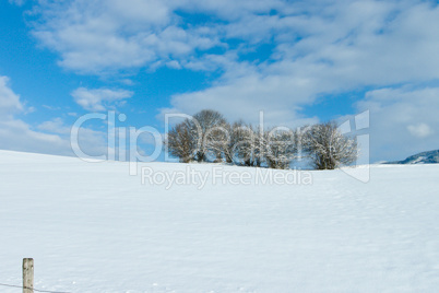 beautiful sunny landscape in winter with blue sky