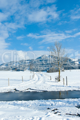 beautiful sunny landscape in winter with blue sky