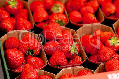 fresh delicious strawberries macro