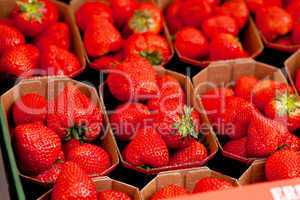 fresh delicious strawberries macro