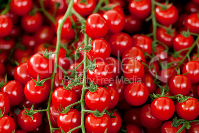 fresh red tomatoes on market