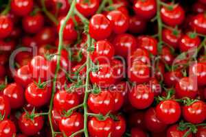 fresh red tomatoes on market