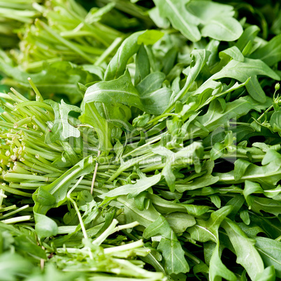 fresh green rucola salad on market macro