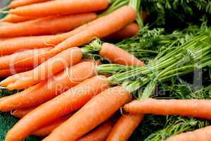 fresh orange carrots on market in summer