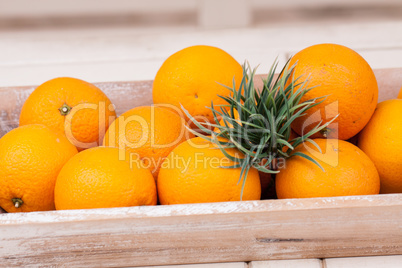 fresh orange fruits decorative on table in summer